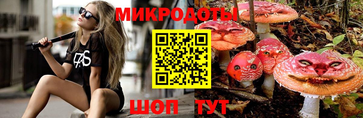 Псилоцибиновые грибы GOLDEN TEACHER  Вход с VPN  Ростов-на-Дону 